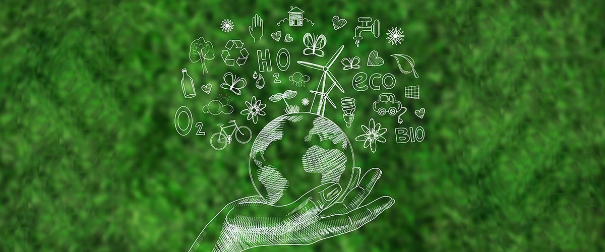 international school in Brookefields