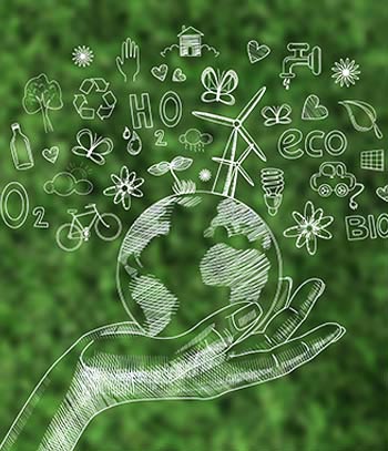 Saving Ecosystems on Land