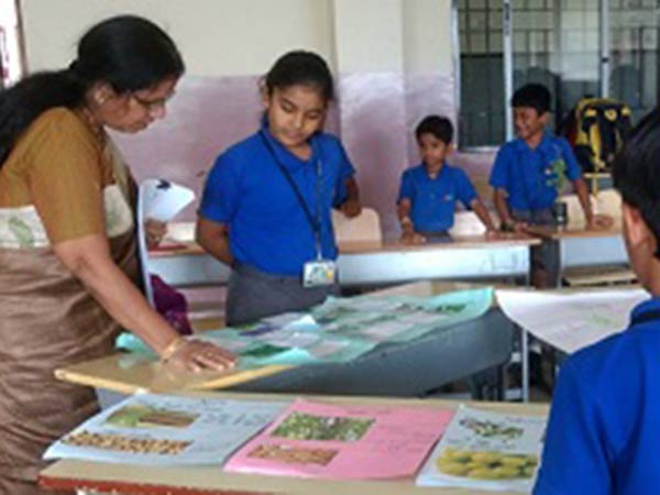 best international school in bangalore