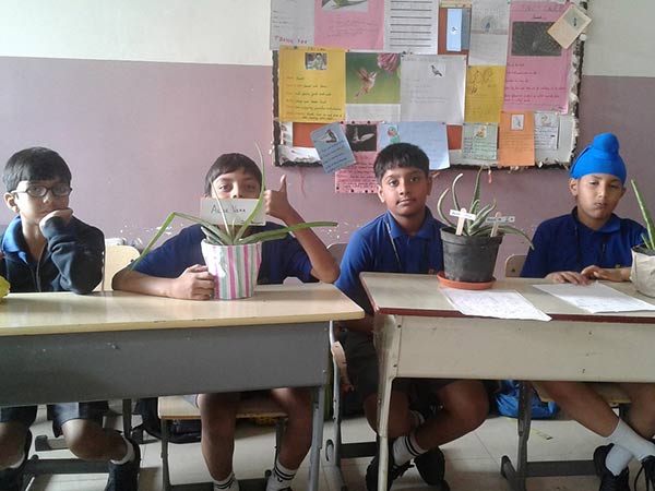 best international school in bangalore