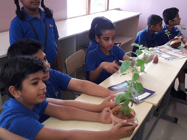 best international school in bangalore