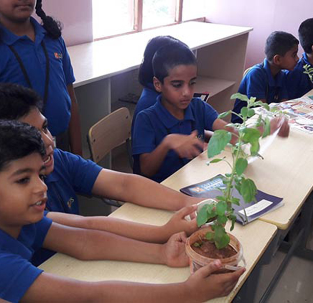 Best international schools in bangalore