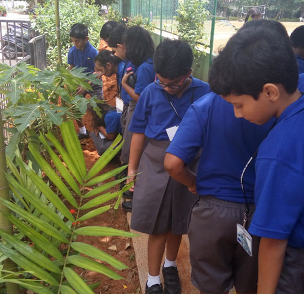 Best international schools in bangalore
