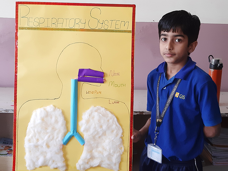 best international school in bangalore