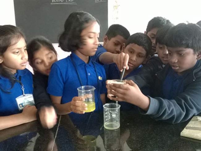 best international school in bangalore